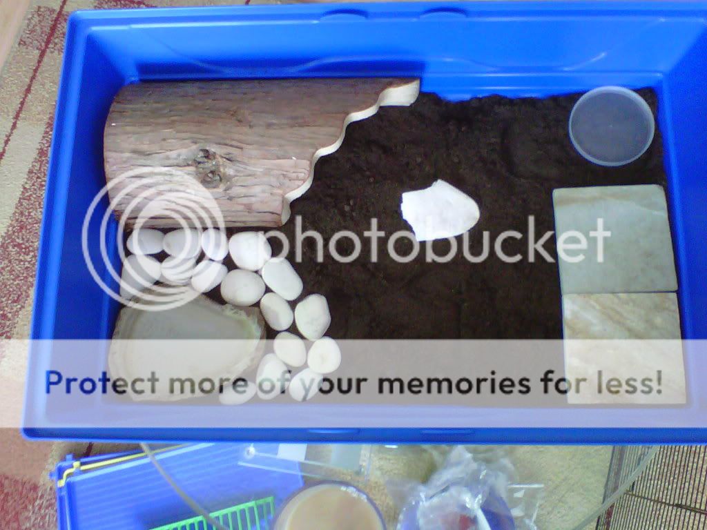 Posted Image